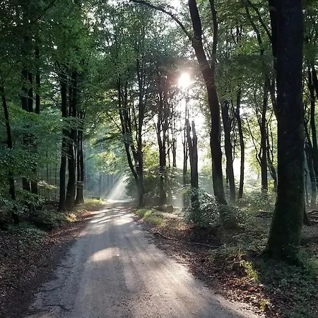Horská chata Loom - Modern In The Woods *