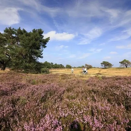 Loom - Modern In The Woods