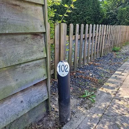 Loom - Modern In The Woods