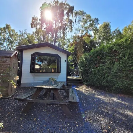 Loom - Modern In The Woods