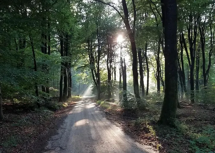 Chalet Loom - Modern In The Woods *