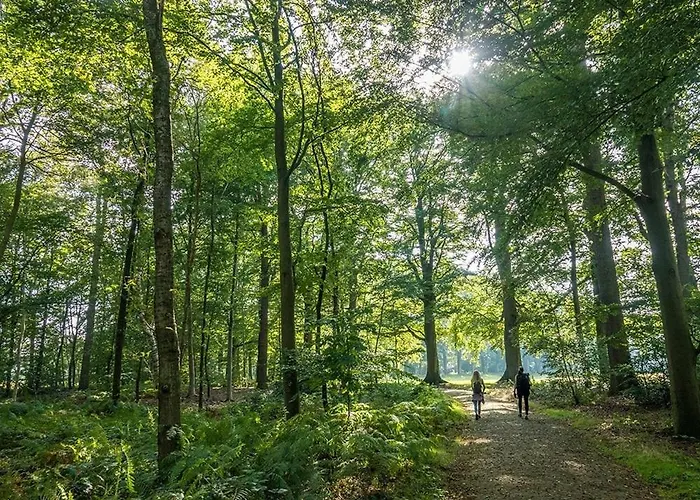 Alpstuga Loom - Modern In The Woods Putten