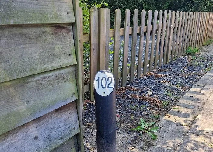 Loom - Modern In The Woods