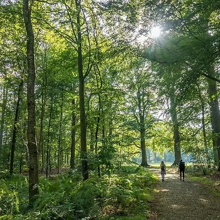 Alpesi faház Loom - Modern In The Woods Putten